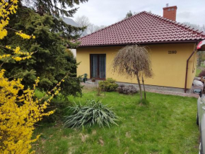 Zielone Buki, Gmina Buczkowice